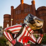 Alumni Park Wisconsin Foundation Alumni Association Bucky Badger sculpture Oct. 8, 2017. (Photo © Andy Manis)